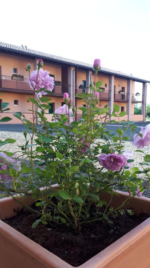 Villa Meli Lupi - Residenze Temporanee Parma Kültér fotó
