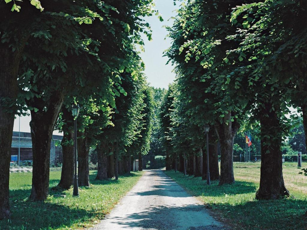 Villa Meli Lupi - Residenze Temporanee Parma Kültér fotó